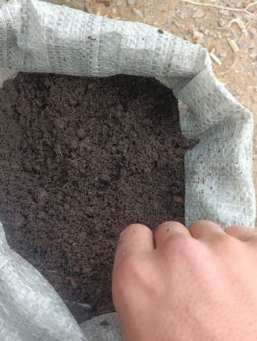 badam qiyməti: Balaken torfu narin kefietli tebbi bitgilerçin heyatdir qiymetde — 3