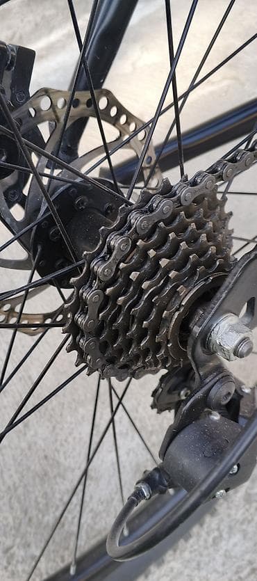 start temp: Dağ velosipedi – START BETTA - Geniş profilli 29” təkərlər, kobud — 7