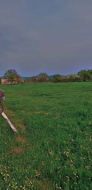 аренда земли под шиномонтаж: 10 соток Для сельского хозяйства, Газ, Электричество, Водопровод — 10