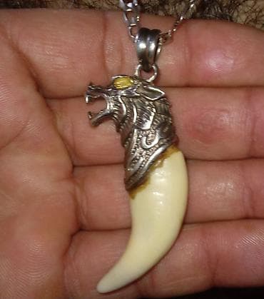 Kulon, Heyvanlar — 1