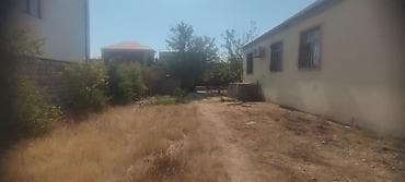 Torpaq: 8 sot, Tikinti, Kupça (Çıxarış) — 10