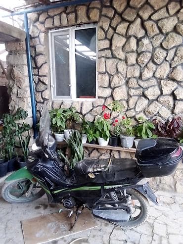 Мопеды, скутеры: Dnepr - Moped 50 см3 — 2