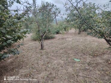 hokməlidə həyət evləri: Obyekt: Həyət evi Təsvir:Gözel tebiet panaraması var. Temiz dağ — 8