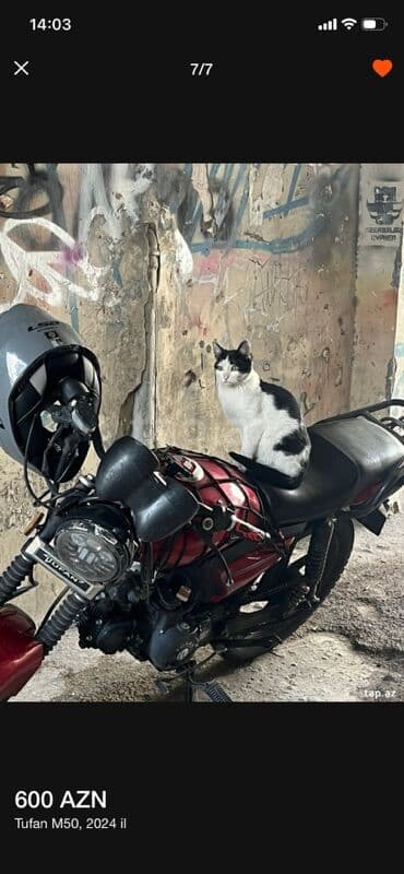 Kommersiya nəqliyyat vasitələri: Tufan - M50, 50 sm3, 2024 il — 2