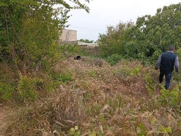 xacmaz torpaq satilir: 5 sot, Tikinti, Mülkiyyətçi, Kupça (Çıxarış) — 2