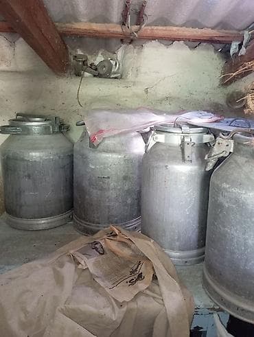 Bak, Metal, 50 l l — 3