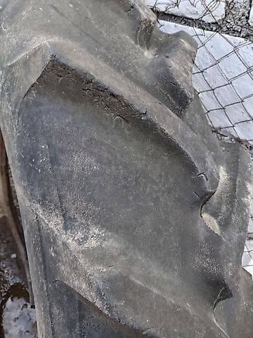 qaz 21 ceyrani: Salam real alici narahat elesin 1 dene qirigi var yanindan — 2