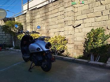 2 5 dizel mator: - POLLO, 2022 il, 7750 km — 5