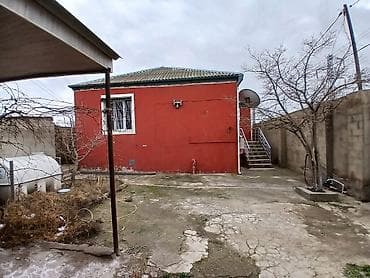 ev meymunlari: 3 otaqlı, 100 kv. m — 3