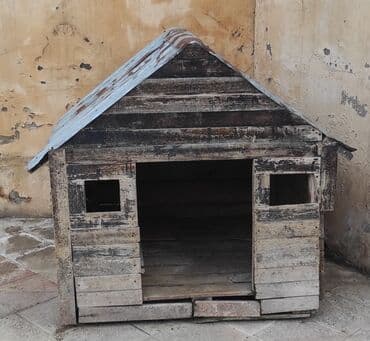 goyərcin yuvası: İt yuvası normal veziyyetde. ünvan Merdekan — 2