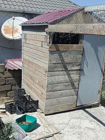heyvan mal: Taxta göyərçinxana – hazır konstruksiya Məhsul təsviri: - Tam — 4