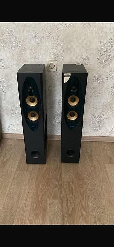 F&D Kolonka, Növ - Akustik, rəng - Qara