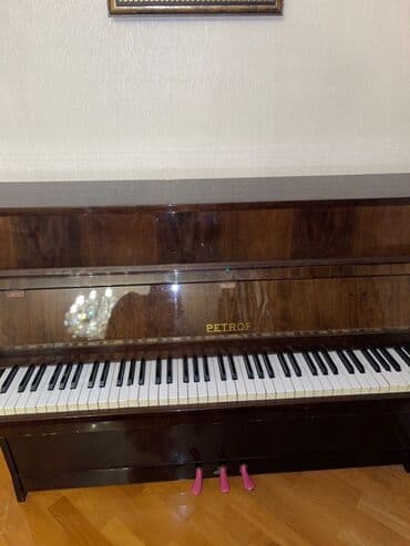 piano şekilleri: Piano, Petrof, Akustik — 4
