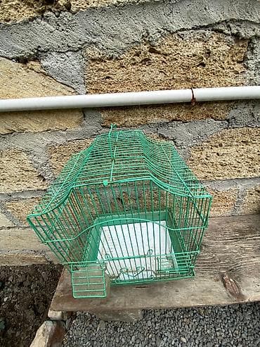 qəfəs: Quş qəfəsi – metal karkaslı, yaşıl rəngdə - Material: toz boya ilə — 2