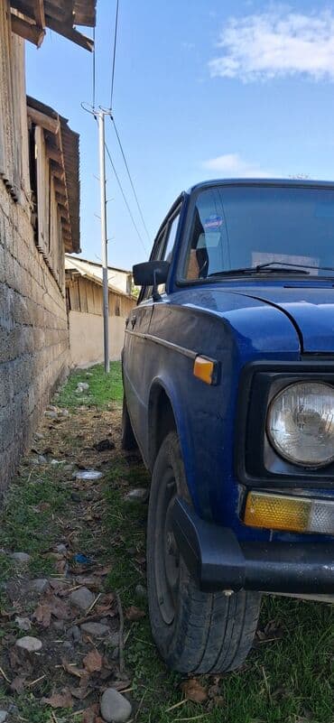 ваза стеклянная прозрачная высокая без узора: Model: Lada (VAZ) klassik sedan Kuzov: 4 qapılı, mavi rəng Yanacaq — 5