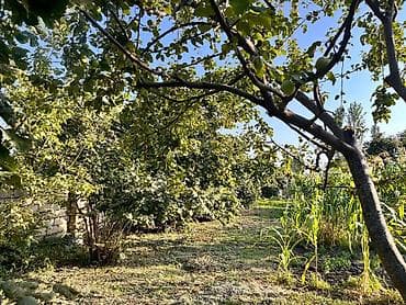 ceyranbatanda bina evleri: 5 sot, Tikinti, Mülkiyyətçi, Kupça (Çıxarış) — 5