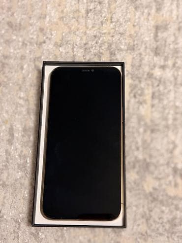 iphone 12 korpus: IPhone 12 Pro Max, 256 GB, Qızılı, Barmaq izi, Simsiz şarj, Face ID — 5