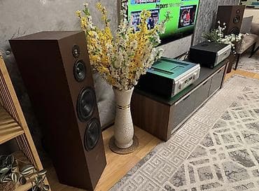 kaustik soda: К вашему вниманию представляю напольные акустические системы — 10