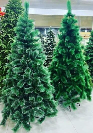 kremlovski yolka: Yolka — 1