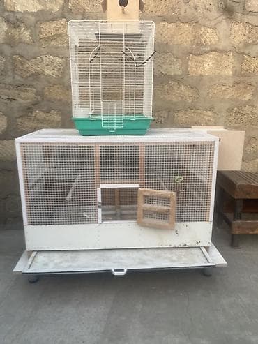 Gəmiricilər: Quş qəfəsləri və yuvalıq dəsti - Böyük volyer tipli qəfəs: Ön və — 1