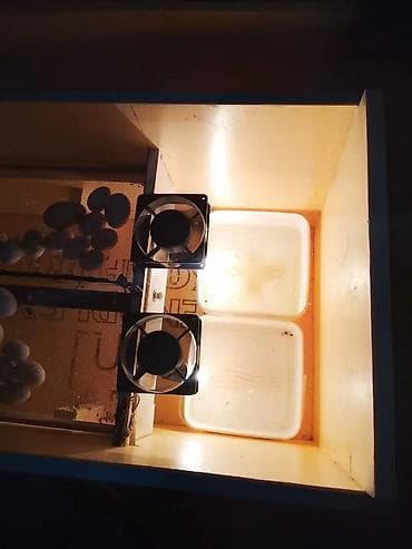 İstehsal avadanlığı: İnkubator – 250 yumurta tutumu Xüsusiyyətlər: - Toyuq, ördək və qaz — 3