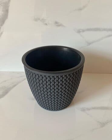 Уличные растения: Dipçəklər plasmas ela yeni 15 sm hündürlük 3 rəngi var yanlız birnin — 2