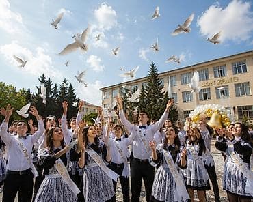 pavlin goyercin: Sonzəngə görə göyərçinlərin təşkil olunması neçə ədəd isdəsəz təşkil — 2