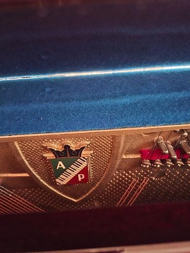 gitara simleri: Piano, Petrof, Akustik, Yeni, Pulsuz çatdırılma — 4