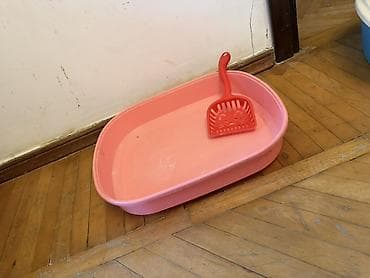 Pişik tualeti dəsti – çəhrayı rəngdə plastik qab və uyğun scooper (qum