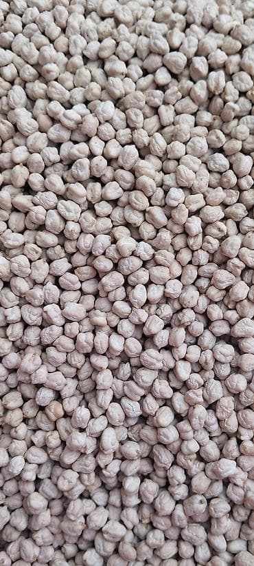 Nohud – Nömrə Bir Noxud - Məhsul: Təmizlənmiş, ələnmiş quru nohud