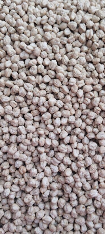 Digər qida məhsulları: Nohud – Nömrə Bir Noxud - Məhsul: Təmizlənmiş, ələnmiş quru nohud — 1