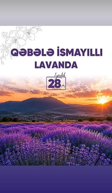 Tur paketləri – təcrübəli bələdçi ilə ekskursiyalar, nəqliyyat və — 4