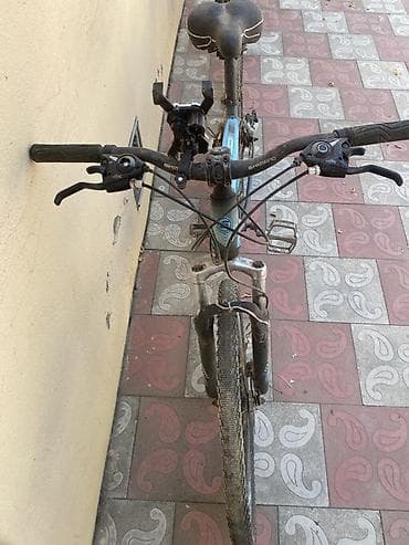 turist velosiped: Veziyyetleri gorunduyu kimidir. Velosipedler Berdededir. Tek tekde — 4