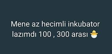 300 yumurta, Tam avtomat