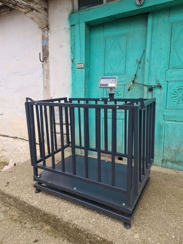 Eşşəklər: At tövlələri və fermalar üçün heyvan ölçü və müayinə qəfəsi heyvan — 5