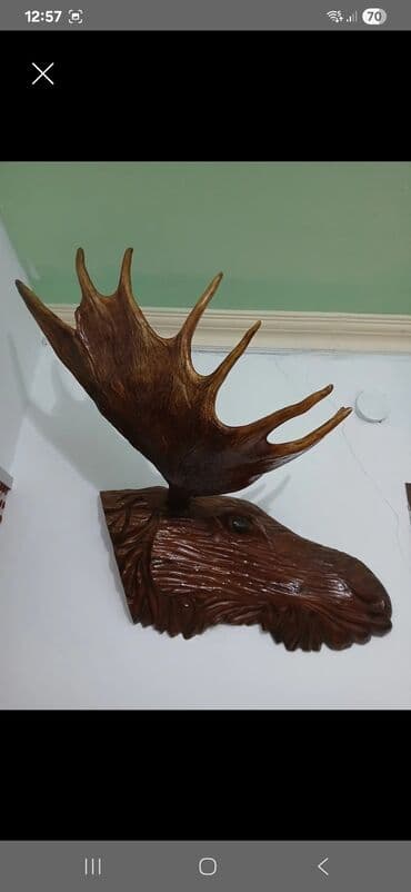 Daraq panellər: Buynuzlar — 1