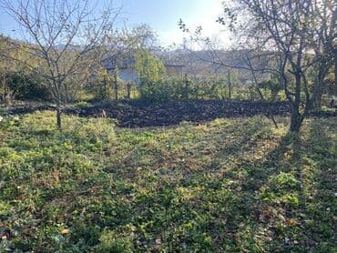 купить дом в азербайджане баку: Для сельского хозяйства — 6