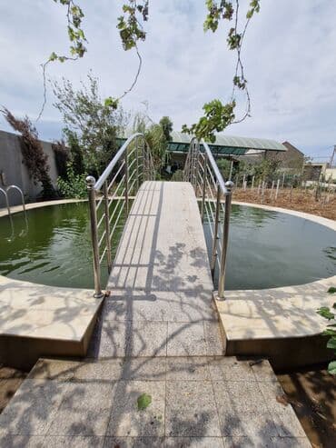 koya baliqlari: Qızıl balıq, Sülhsevər, Ünvandan götürmə — 1