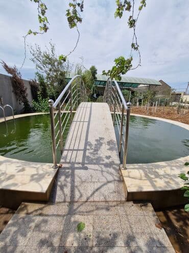 Qızıl balıq, Sülhsevər, Ünvandan götürmə