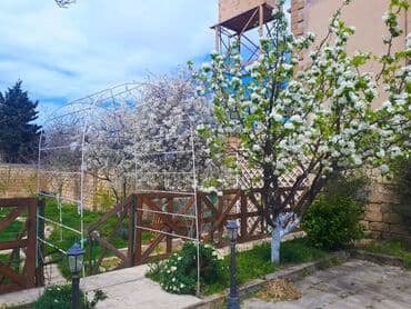 kirdite evler: Novxanıda, Prezident aparatı bağları yolunda, 9 sot torpaqda — 21