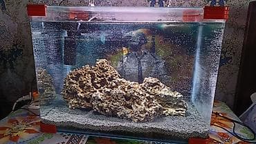 filter akvarium: Şüşə akvarium seti - Ölçü: təxmini 60×35×40 sm (50–60 litr həcmə — 1
