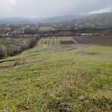 ucuz torpaqlarin satisi: Kənd təsərrüfatı — 2