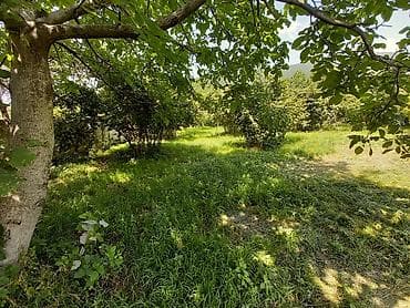 obyektlerin satisi: 11 sot, Kənd təsərrüfatı, Kupça (Çıxarış) — 4