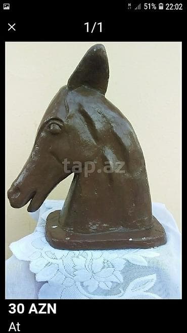 Bağ və bostan üçün digər məhsullar