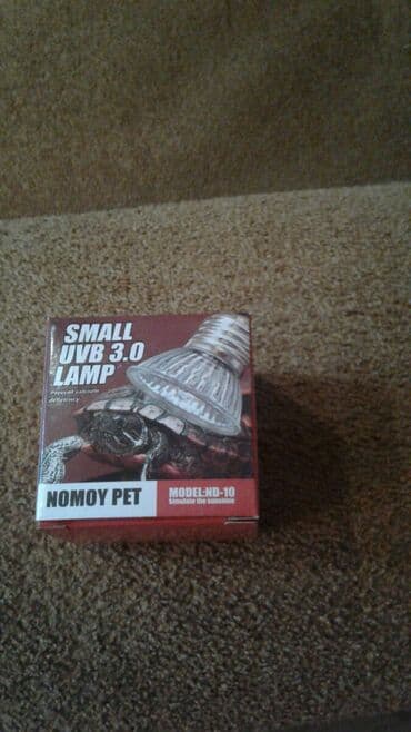 Uf lampa satılır istilik ve gunesh verir Quru tisbagasi baliqlar ucun