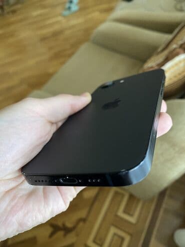 Hoffmann: IPhone 16e, Qara — 4