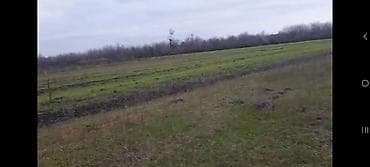 genclik kiraye evler: Kənd təsərrüfatı — 5