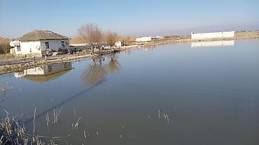 8 sot, Kənd təsərrüfatı, Kupça (Çıxarış)