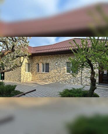 купить угли для мангала: Dekorativ daş — 17