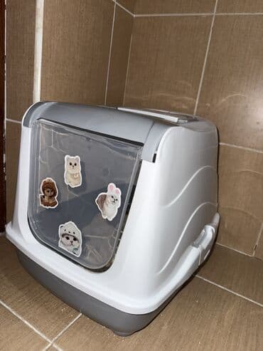 pişik adları: Şotland yastı qulaq, Erkək, Yaxşı əllərə, Ünvandan götürmə — 6